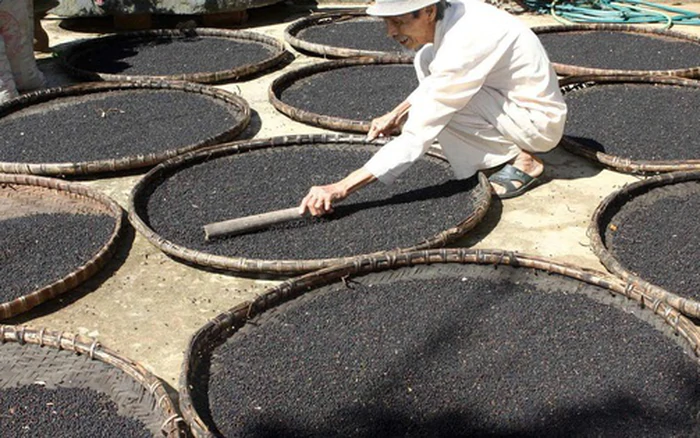 Cleaning, Sorting & Grading
