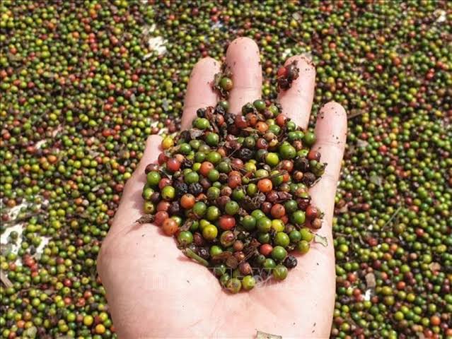 Raw Material Sourcing