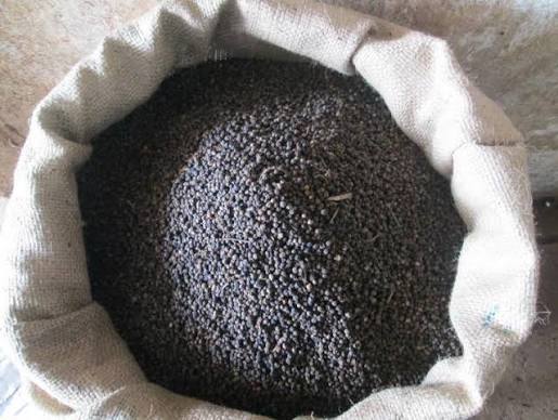 Quality Control & Export Packing