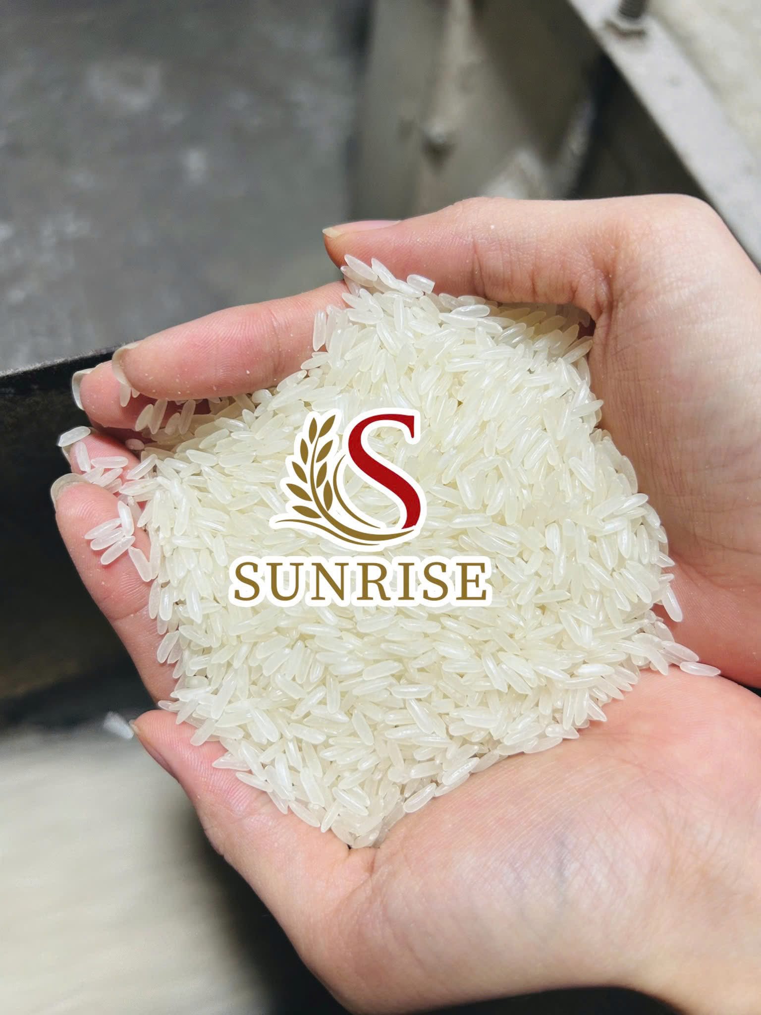 SUNRISE INS LTD