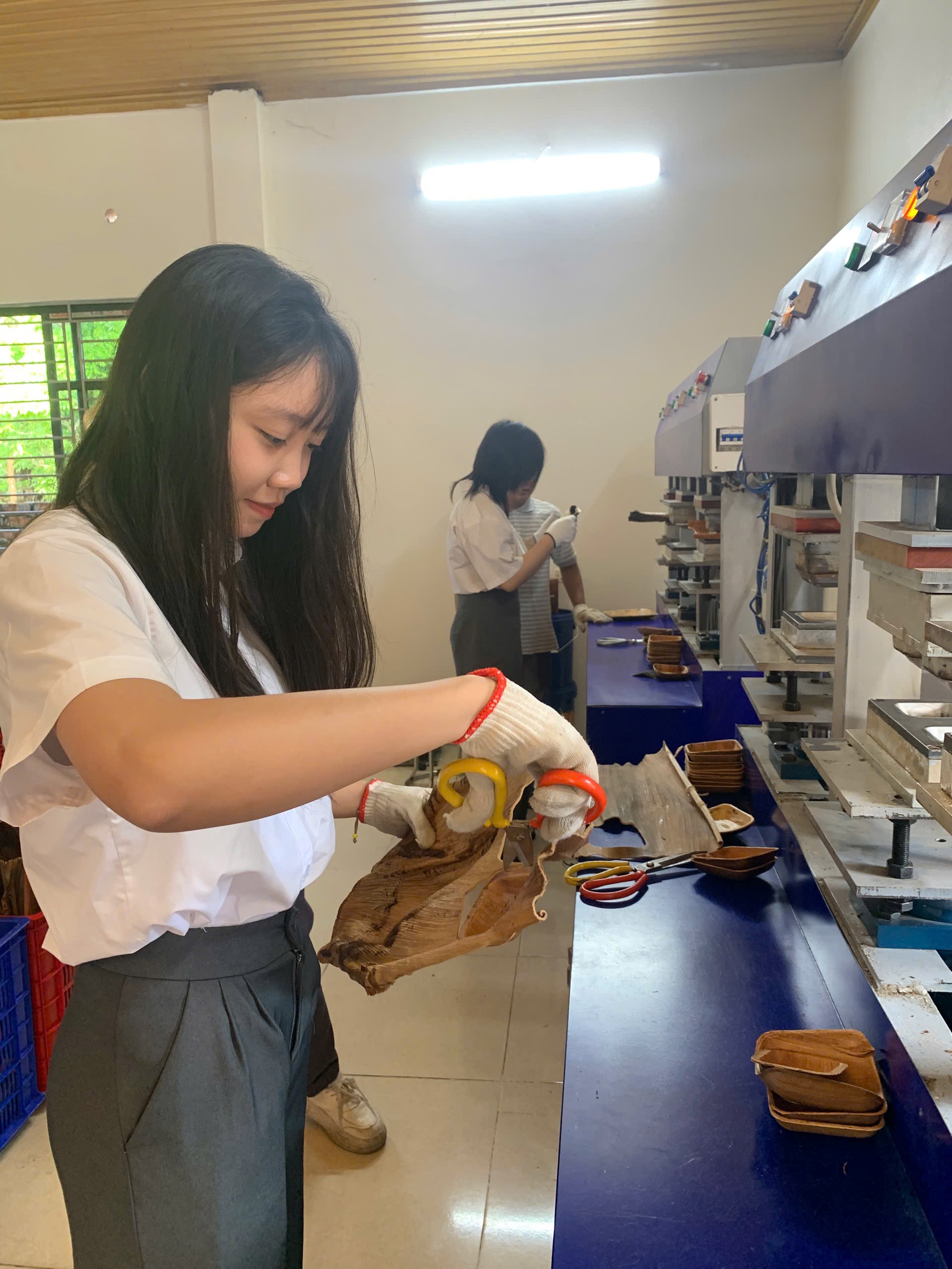 học sinh trải nghiệm quy trình sx