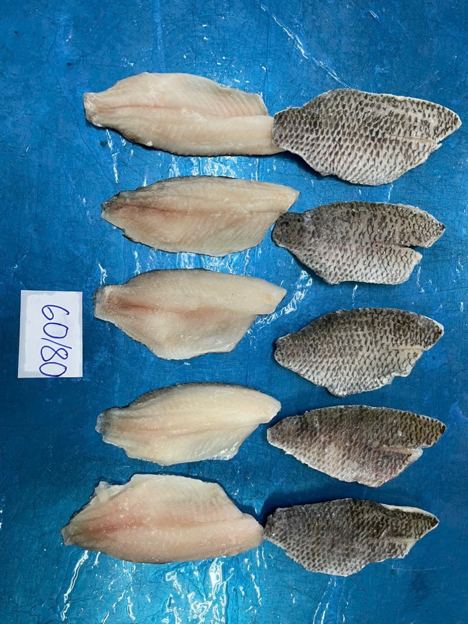 Tilapia fillet size 60/80