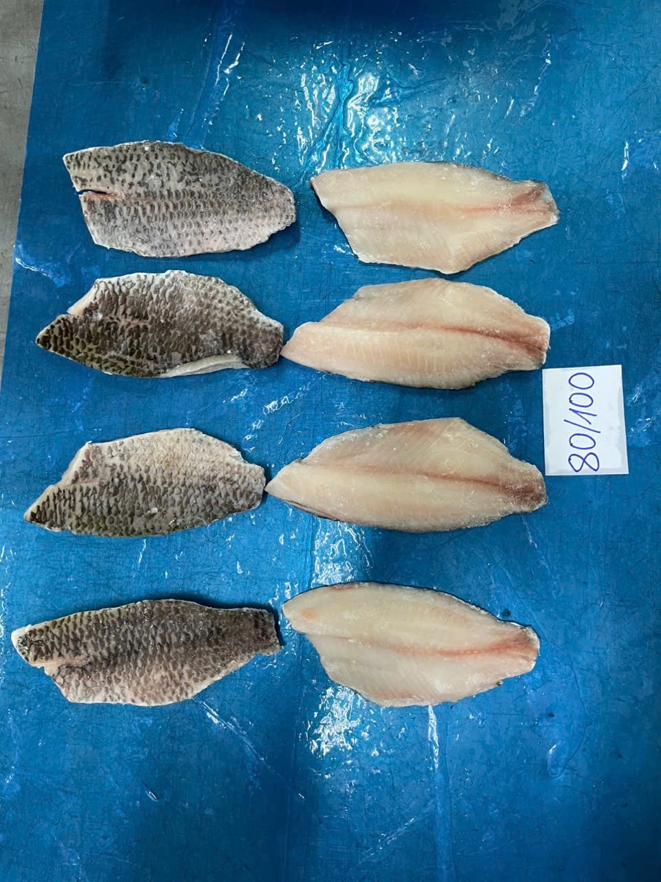 Tilapia fillet size 80/100
