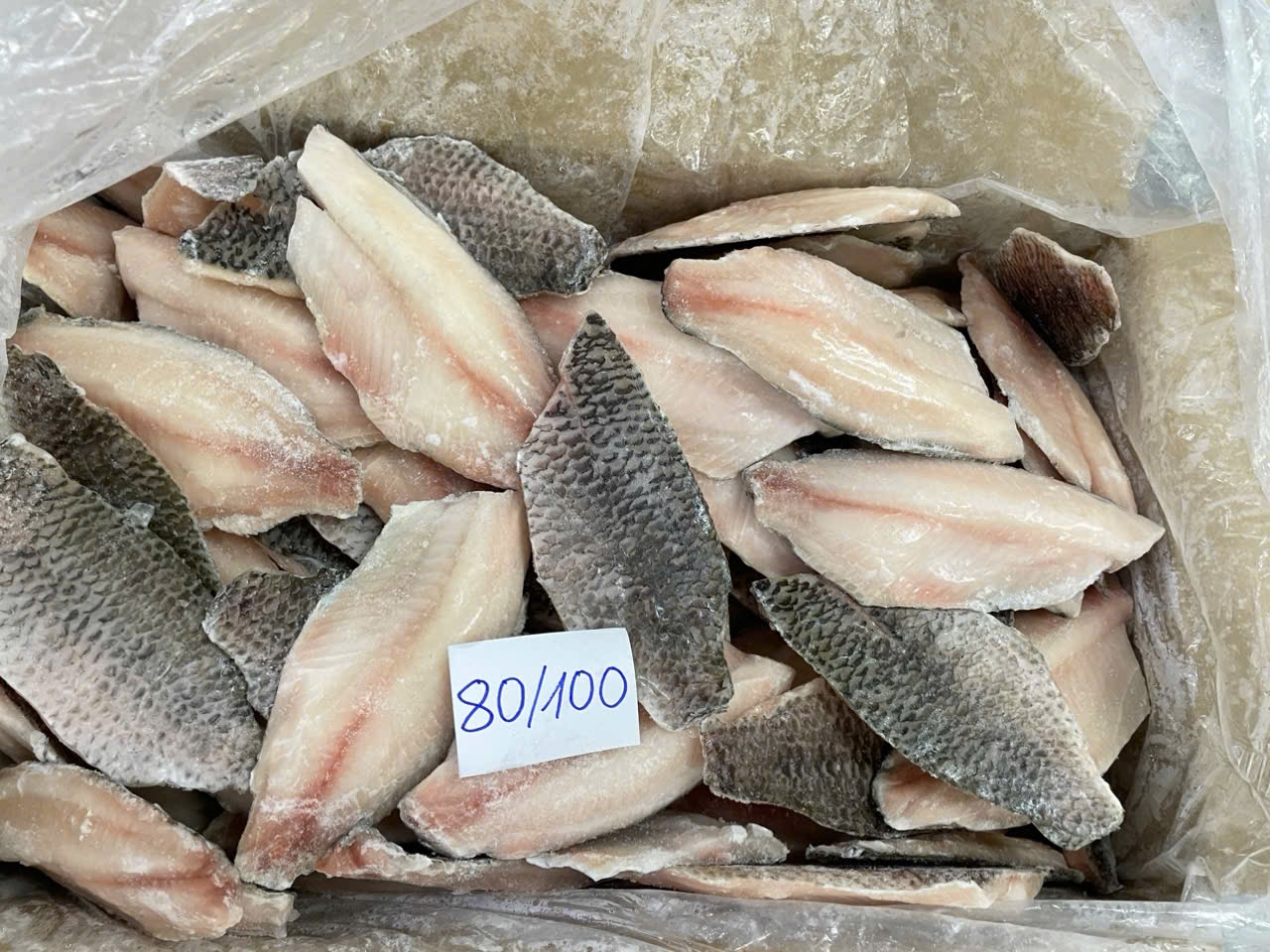 Tilapia fillet Bulk 10kg