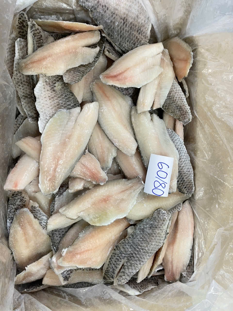 Tilapia fillet Bulk 10kg